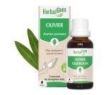 Olivier (Olea europea) j.p., BIO, 30&nbsp;ml